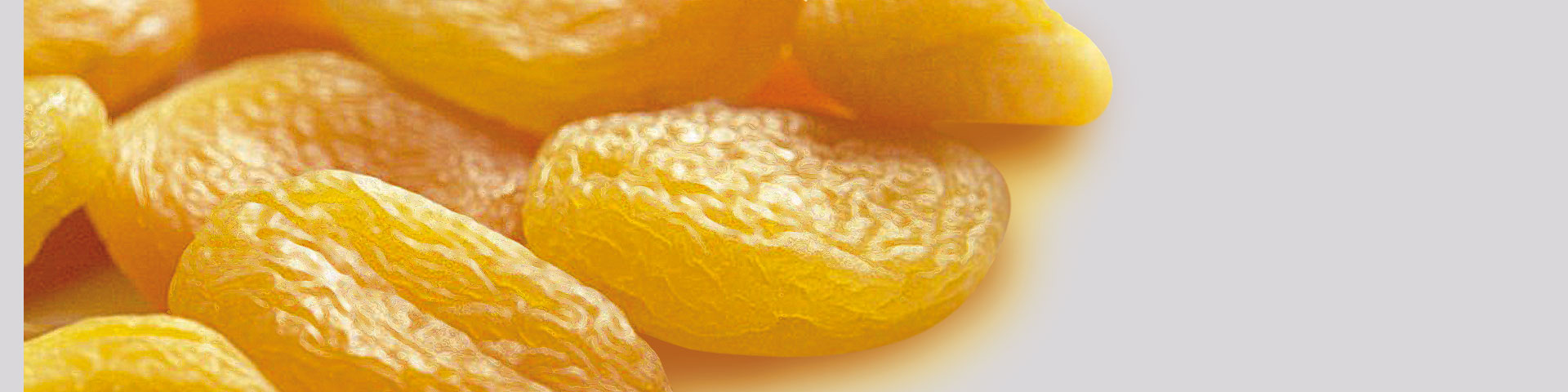 Banner Frutta Disidratata