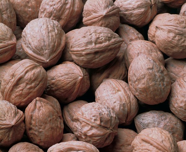 Noci Guscio California - Cile - Francia